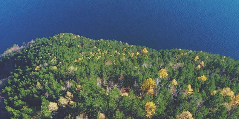 从军营大灶到城市名片：锦州老兵烧烤的饮食文化演变史与寻味指南