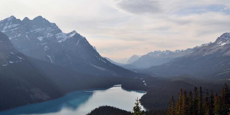从《锦州苹果》到地理标志:一颗红果背后的城市记忆与本地生活