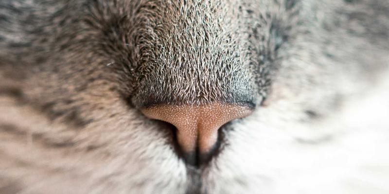 烟火锦州：从历史深处走来的烧烤之都，这份美食地图请收好