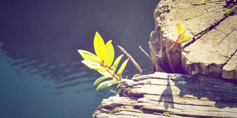 锦州古塔新生记：探秘历史建筑群修复，解锁周边美食与出行全攻略