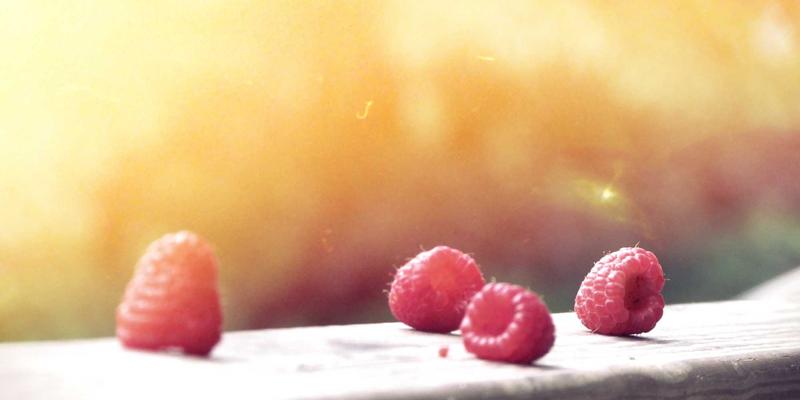 锦州黑山阻击战遗址深度游：重走英雄路，解锁辽沈战役关键细节与在地体验