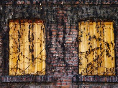 锦州医疗健康服务